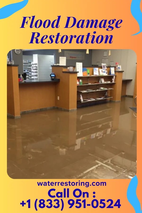 Flood Damage Restoration in Maynard, IA