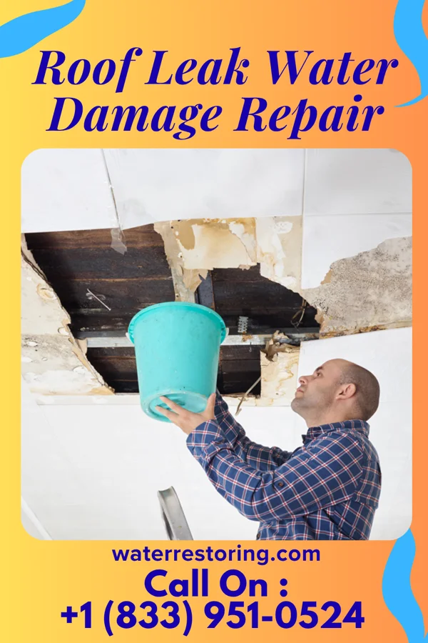 Roof Leak Water Damage Repair in Maynard, IA
